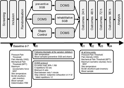 Investigation of the Sympathetic Regulation in Delayed Onset Muscle Soreness: Results of an RCT